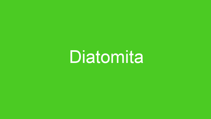 Diatomita