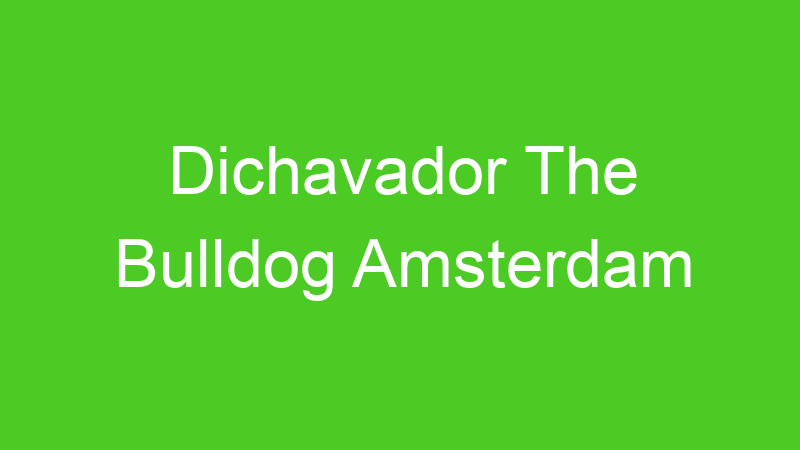 Dichavador The Bulldog Amsterdam