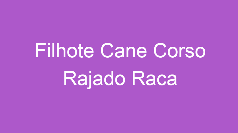 Filhote Cane Corso Rajado Raca | Tenho Tudo Sobre
