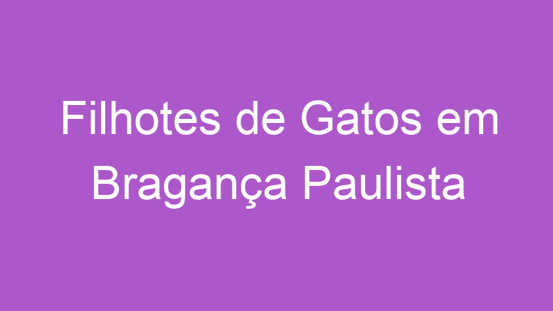 Filhotes de Gatos em Bragança Paulista | Tenho Tudo Sobre Filhotes de Gatos em Bragança Paulista | Tenho Tudo Sobre