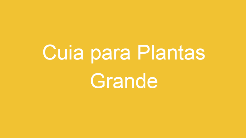 Cuia para Plantas Grande