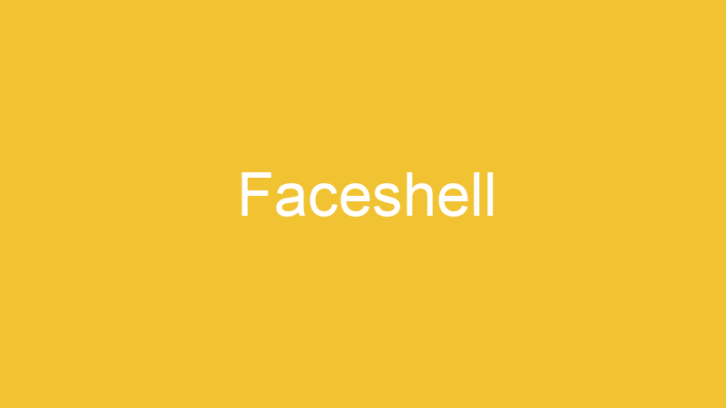 Faceshell | Tenho Tudo Sobre