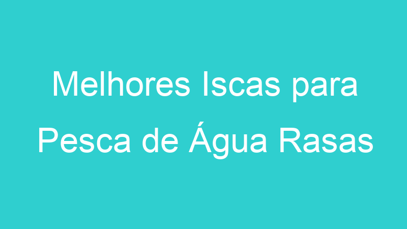 Melhores Iscas para Pesca de Água Rasas