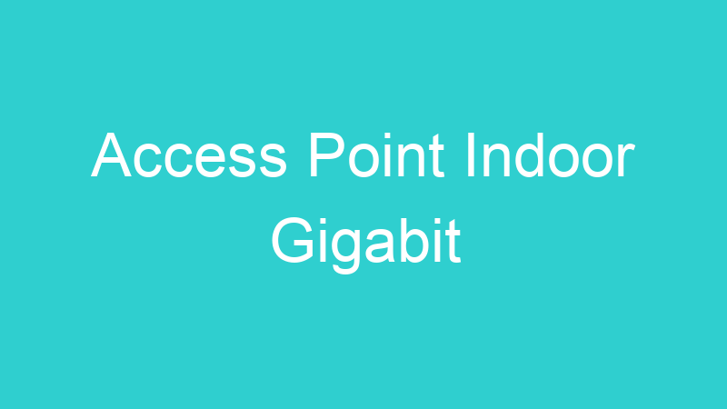 Access Point Indoor Gigabit
