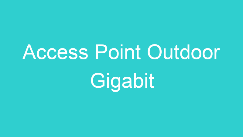 Access Point Outdoor Gigabit