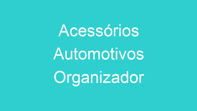 Acessórios Automotivos Organizador