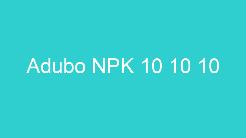 Adubo NPK 10 10 10
