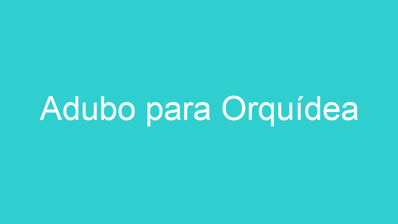 Adubo para Orquídea