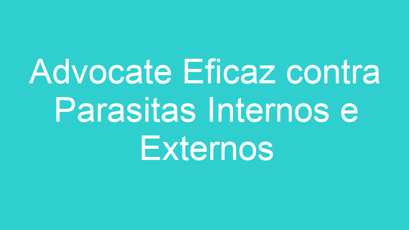 Advocate Eficaz contra Parasitas Internos e Externos