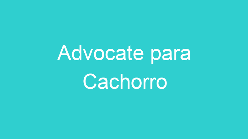 Advocate para Cachorro