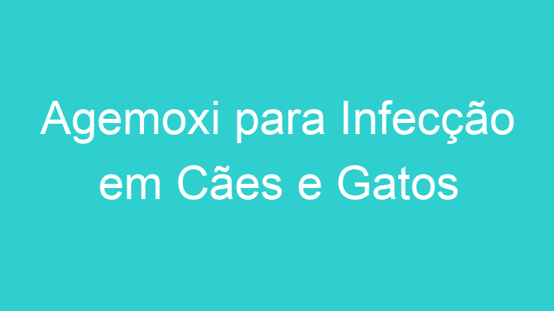 Agemoxi para Infecção em Cães e Gatos