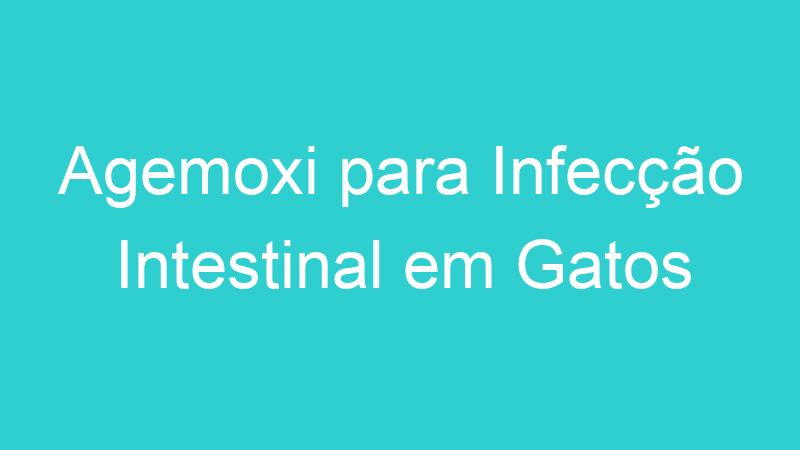 Agemoxi para Infecção Intestinal em Gatos