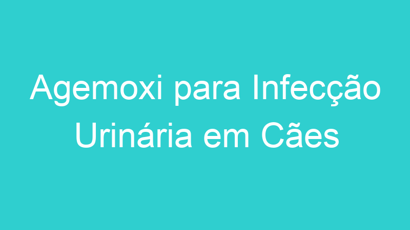 Agemoxi para Infecção Urinária em Cães