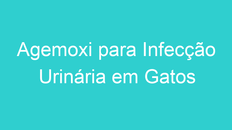 Agemoxi para Infecção Urinária em Gatos