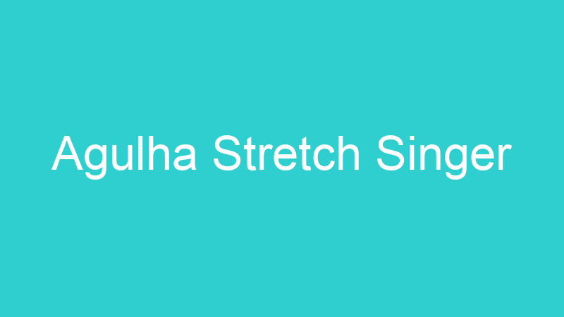 Agulha Stretch Singer