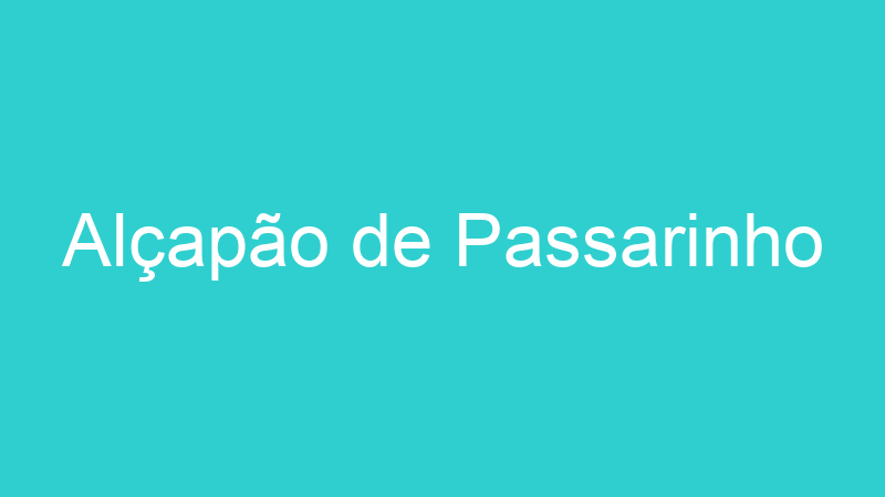 Alçapão de Passarinho