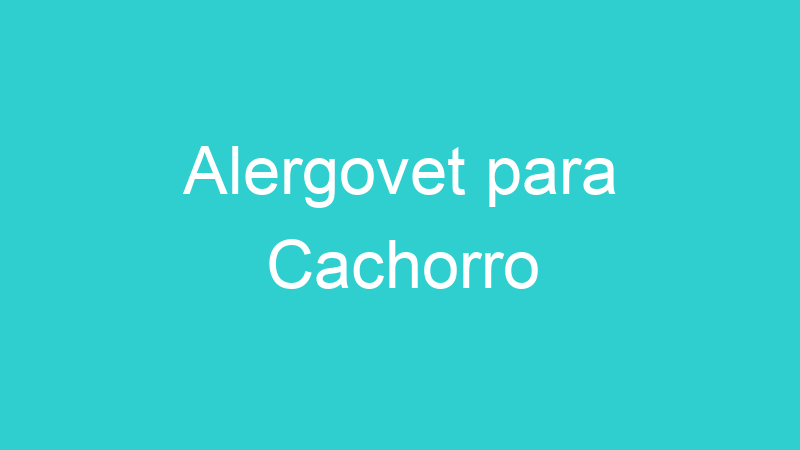 Alergovet para Cachorro