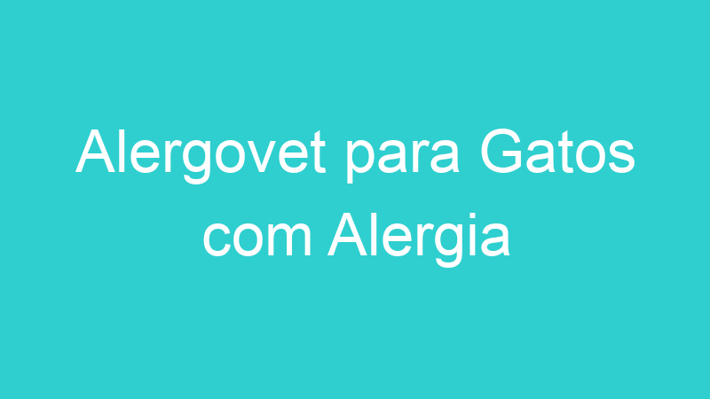 Alergovet para Gatos com Alergia