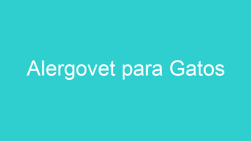Alergovet para Gatos