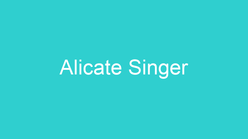 Alicate Singer