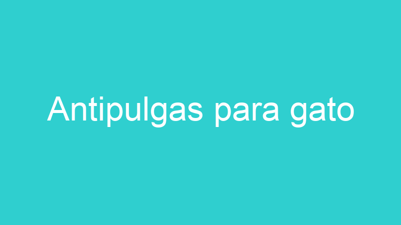 Antipulgas para gato