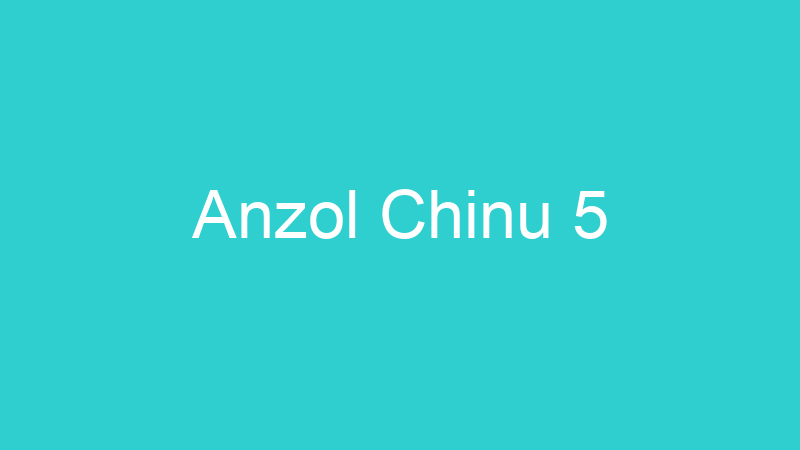 Anzol Chinu 5