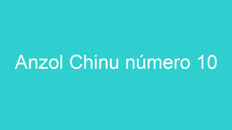 Anzol Chinu número 10