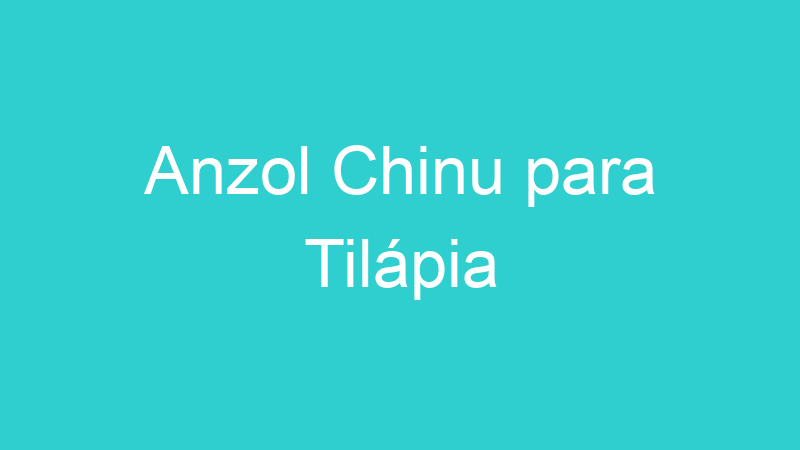 Anzol Chinu para Tilápia