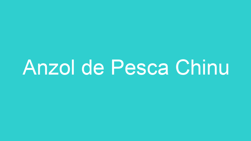 Anzol de Pesca Chinu
