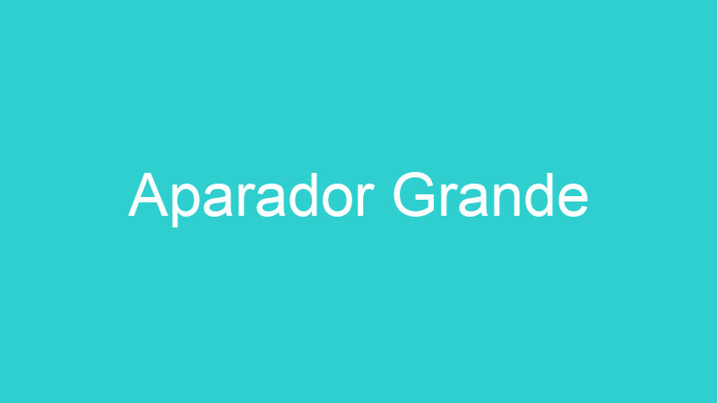 Aparador Grande