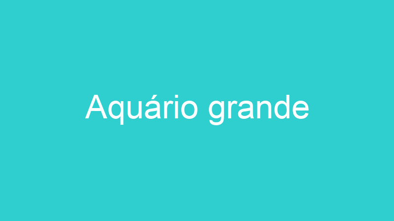 Aquário grande