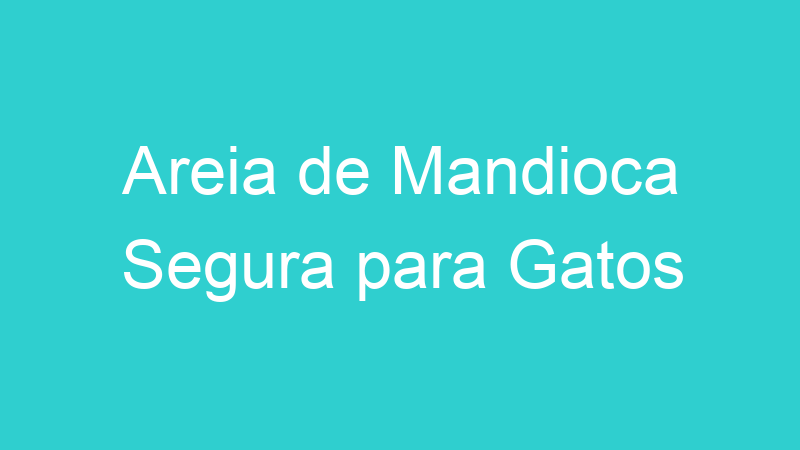 Areia de Mandioca Segura para Gatos