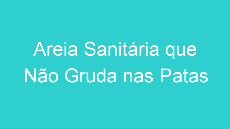Areia Sanitária que Não Gruda nas Patas