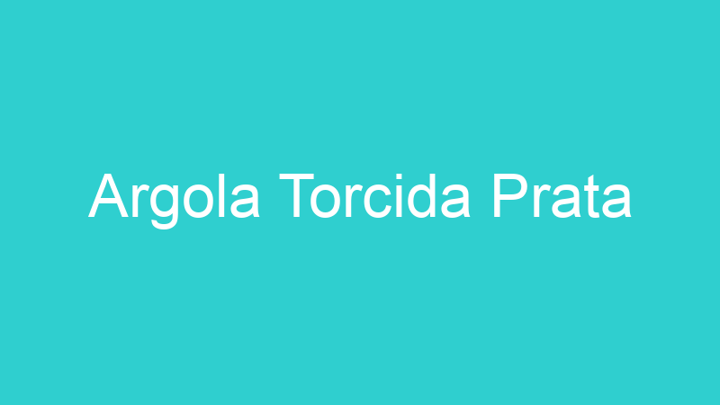Argola Torcida Prata