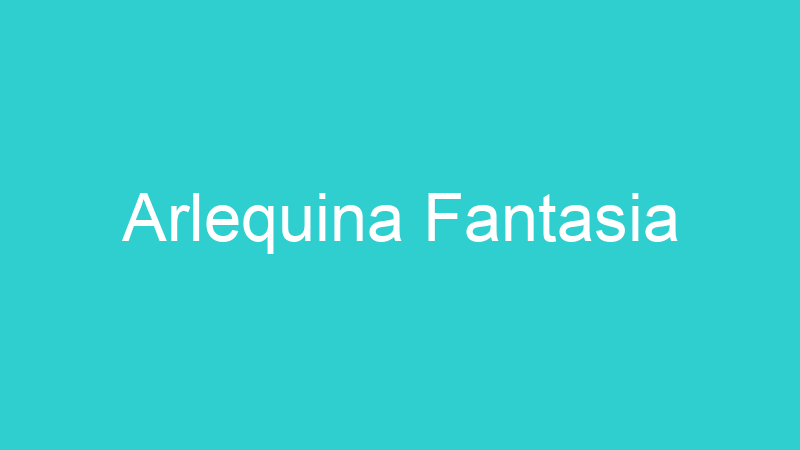 Arlequina Fantasia