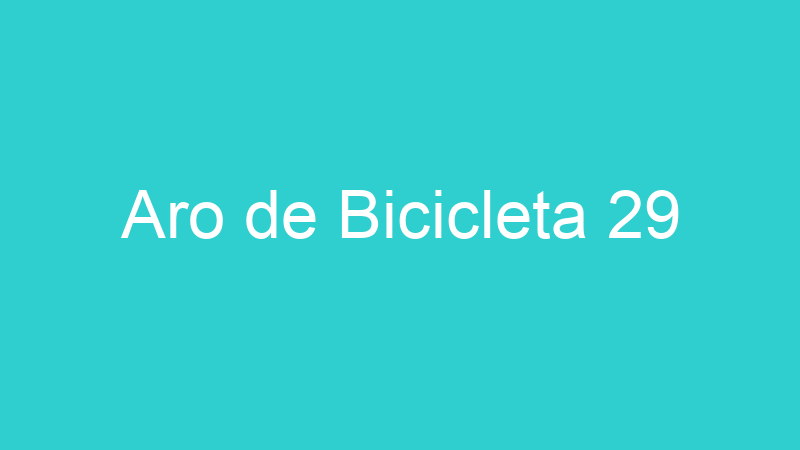 Aro de Bicicleta 29