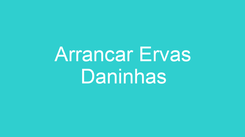 Arrancar Ervas Daninhas