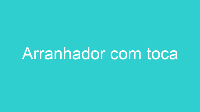 Arranhador com toca