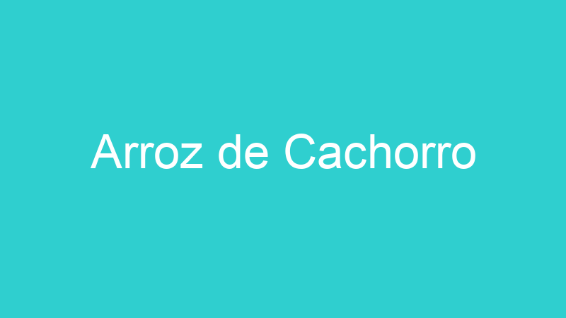 Arroz de Cachorro
