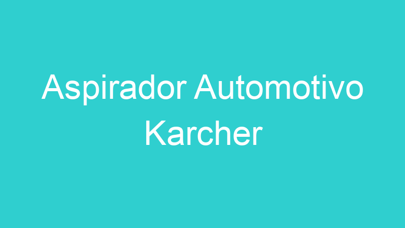 Aspirador Automotivo Karcher