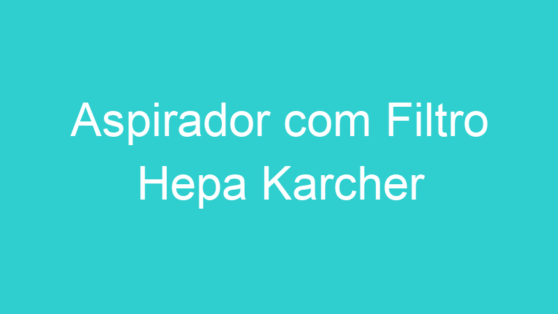 Aspirador com Filtro Hepa Karcher