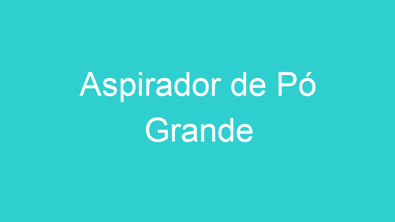 Aspirador de Pó Grande