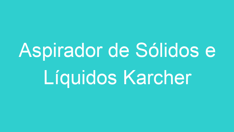Aspirador de Sólidos e Líquidos Karcher