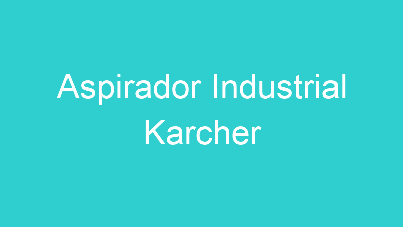 Aspirador Industrial Karcher