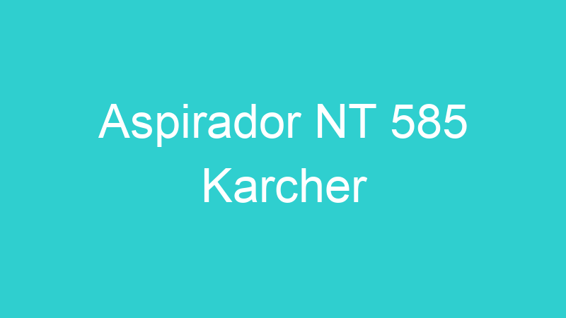 Aspirador NT 585 Karcher