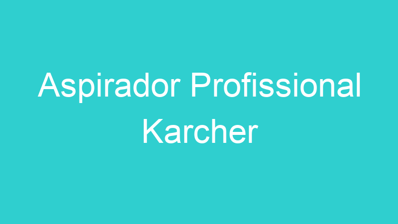 Aspirador Profissional Karcher