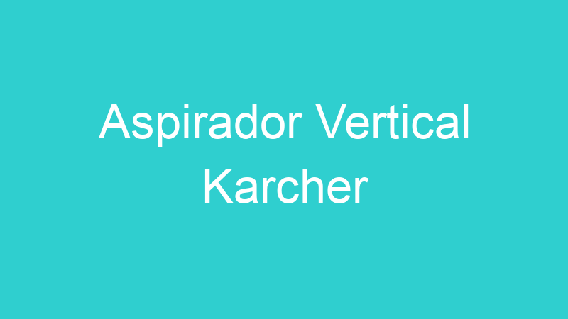 Aspirador Vertical Karcher