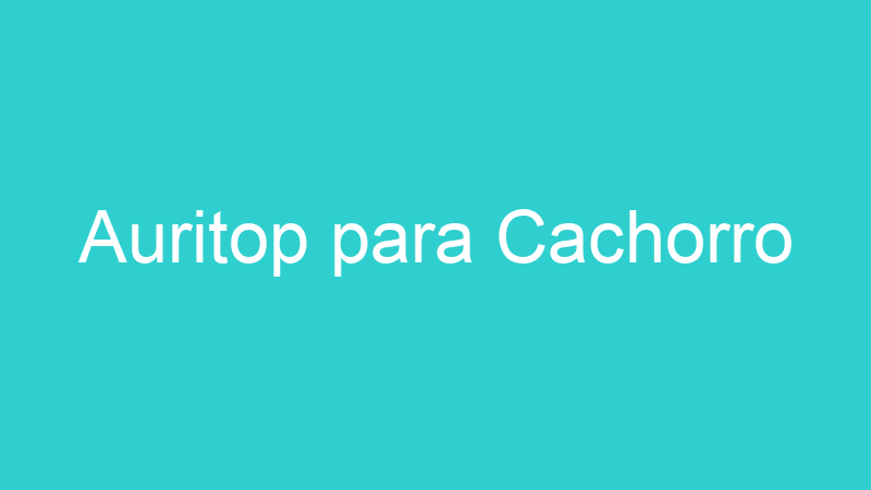 Auritop para Cachorro