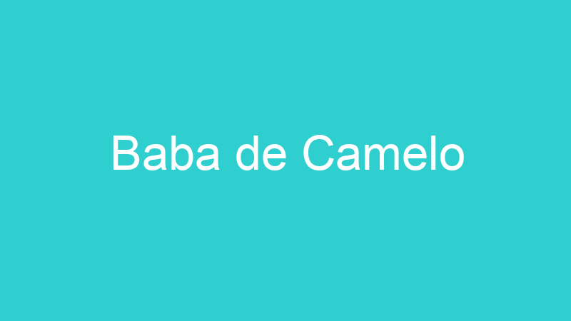 Baba de Camelo