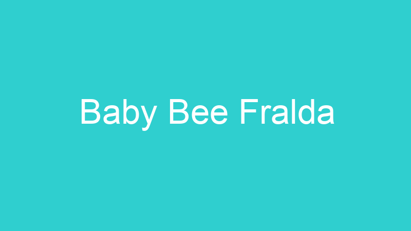 Baby Bee Fralda